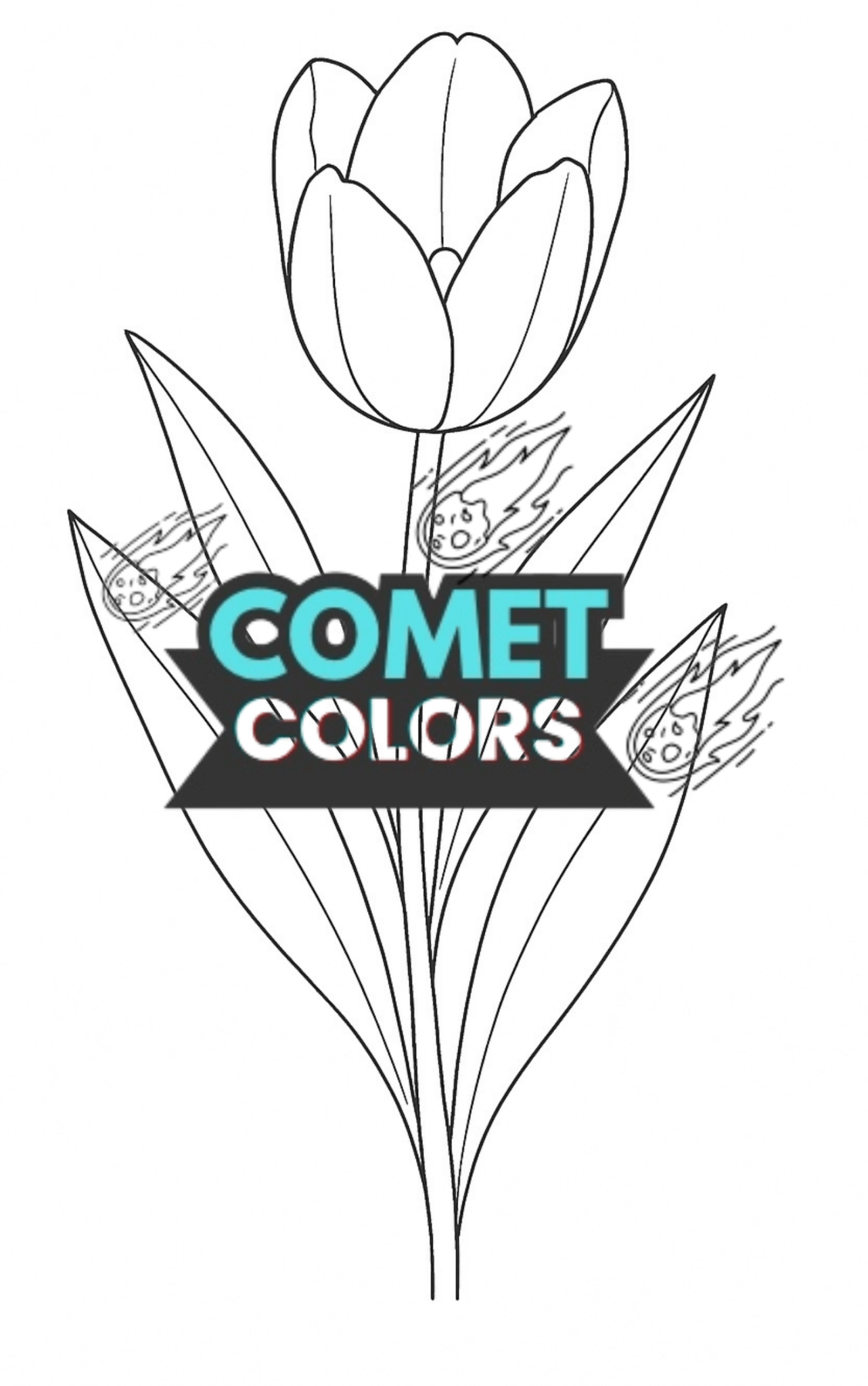 Bloom & Color: A Floral Journey - CometColors