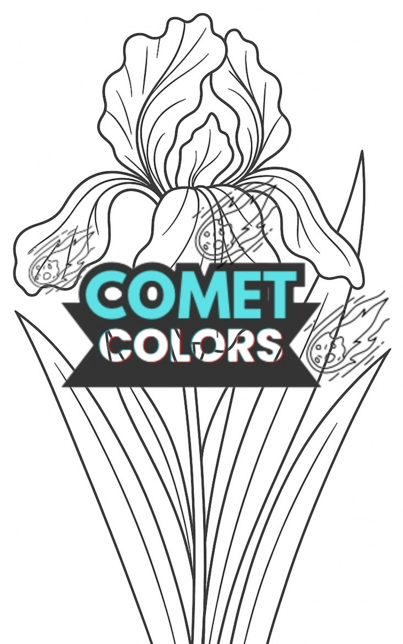 Bloom & Color: A Floral Journey - CometColors