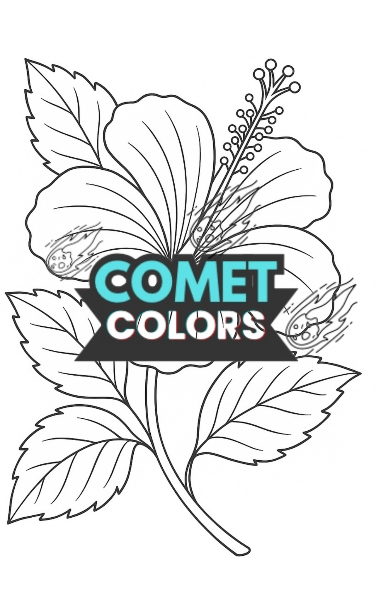 Bloom & Color: A Floral Journey - CometColors